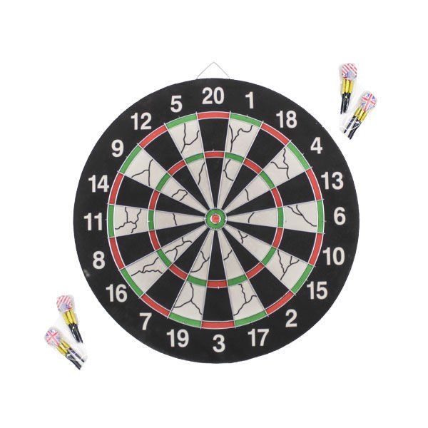 Can Profesyonel Dart