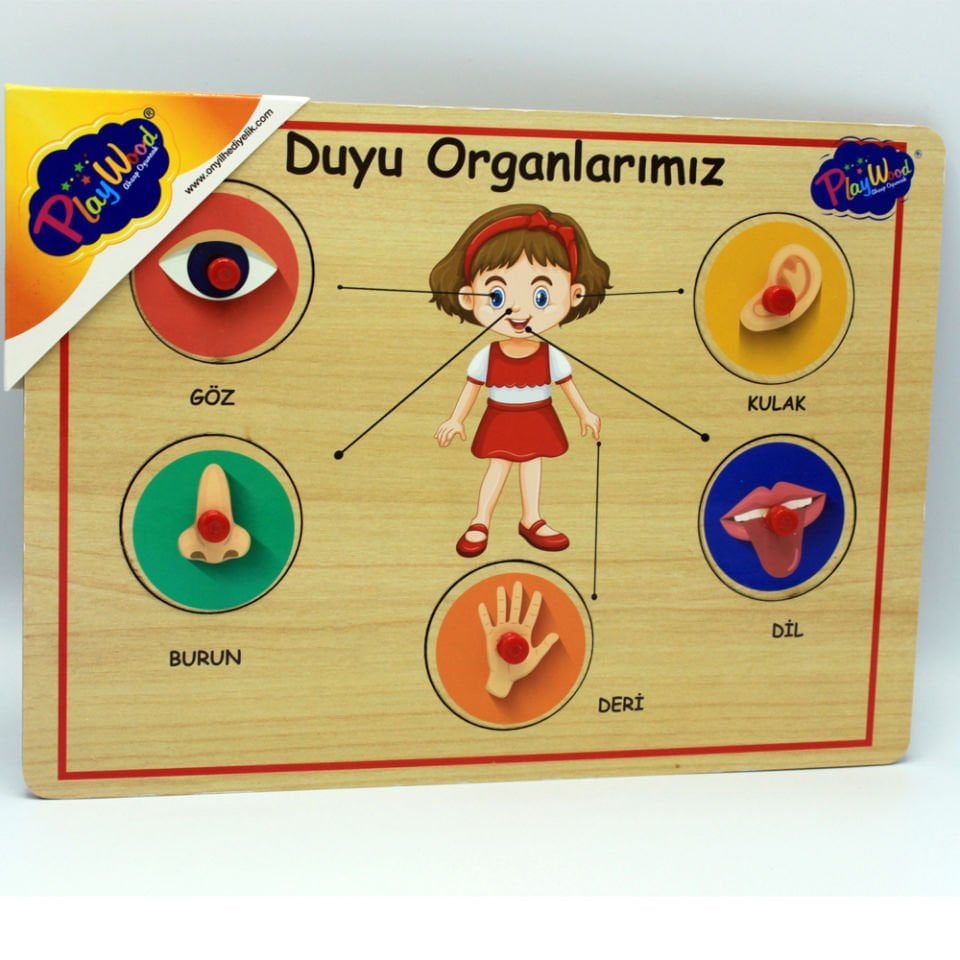 Play Wood Ahşap Tutmalı Organlar