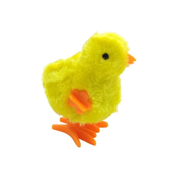 Can Ali Kurmalı Civciv