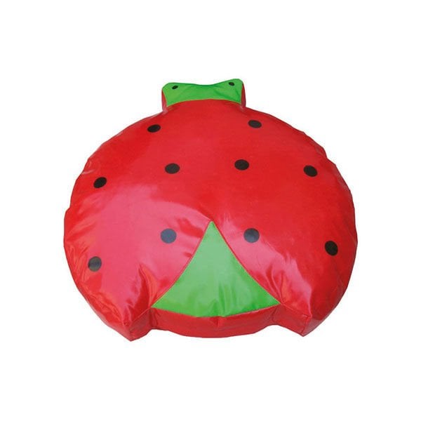 Uğur Böceği Minder