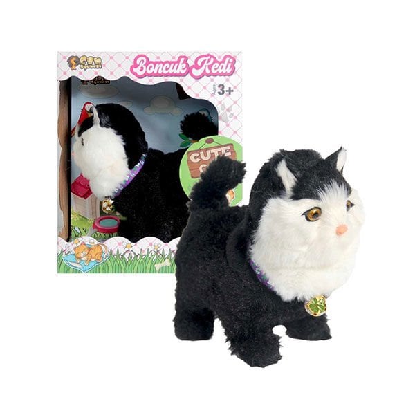 Can Boncuk Kedi
